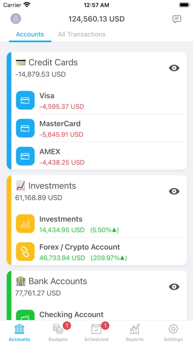 MoneyWiz — iPhone 1