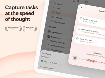 Todoist — iPad 2