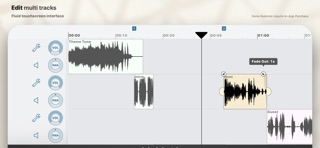 Ferrite Recording Studio developer-published iPhone product screenshot 3