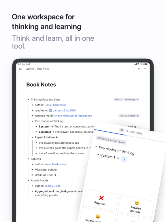 RemNote — iPad 2