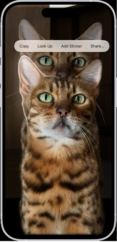 Apple’s iPhone guide shows a selected photo subject with the Copy and Share menu. Lifting a subject creates a cutout; check how the receiving app saves transparency.