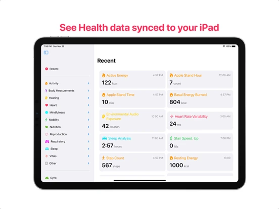 Health Auto Export — iPad 2
