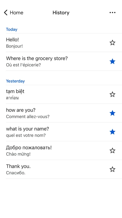 Google Translate — iPhone 1
