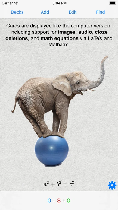 AnkiMobile — iPhone 1