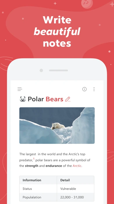 Bear — iPhone 1